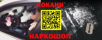 крисы Краснознаменск