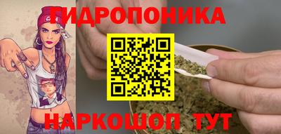 крисы Краснознаменск