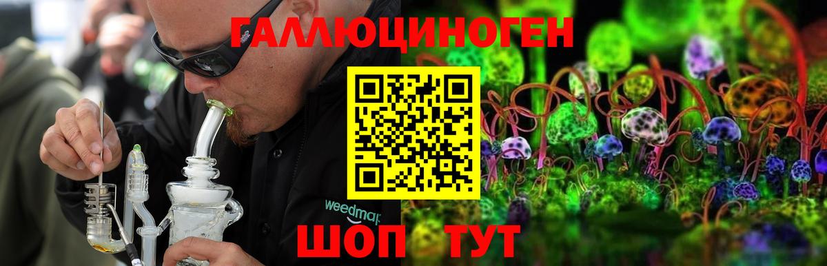 Галлюциногенные грибы GOLDEN TEACHER Ярославль