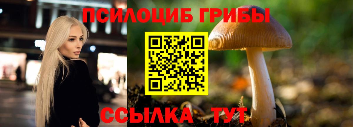 Ярославль  Галлюциногенные грибы прущие грибы  Вход с VPN 